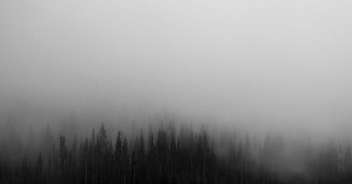 Adult Sibling Estrangement: Biblical Wisdom on Reconciliation and Boundaries