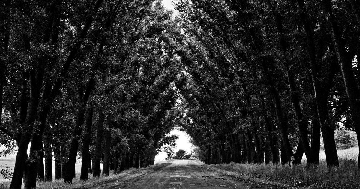 Advocating for Your Special Needs Child in School and Church