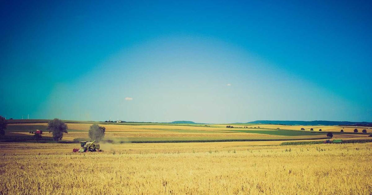 All Saints' Day: A Biblical Perspective on Remembering the Faithful Cloud of Witnesses