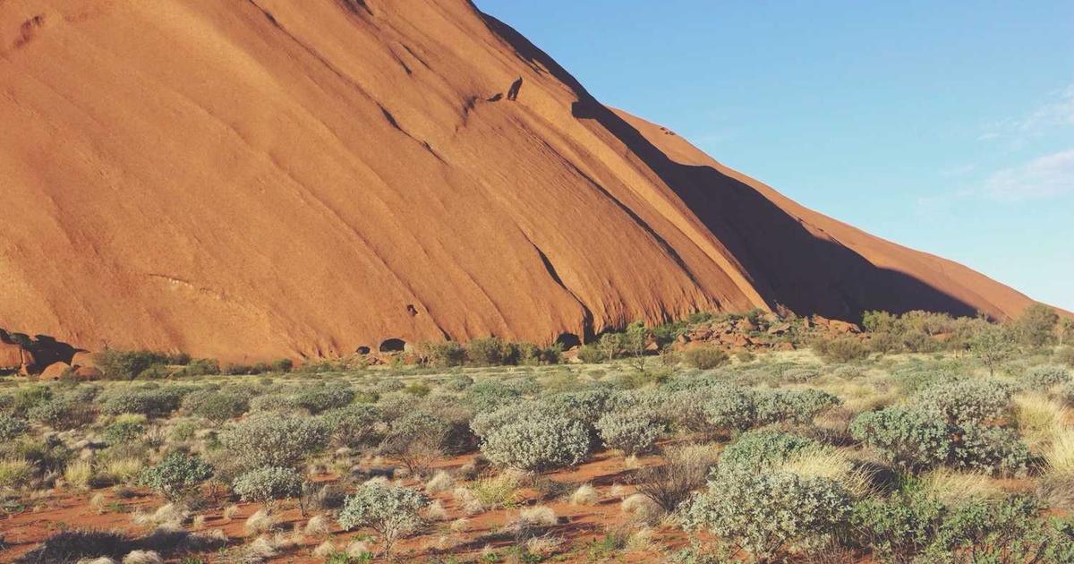 Alternative Medicine and Biblical Perspectives: Natural Remedies, Faith Healing, and Wisdom