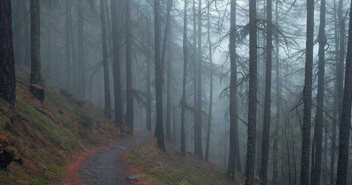 Understanding Atheism and Secular Humanism: Equipping Preteens and Teens