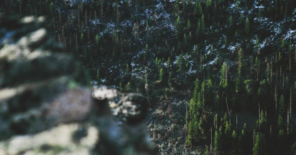 Biblical Modesty: Teaching Kids Heart-Focused Purity Without Legalism