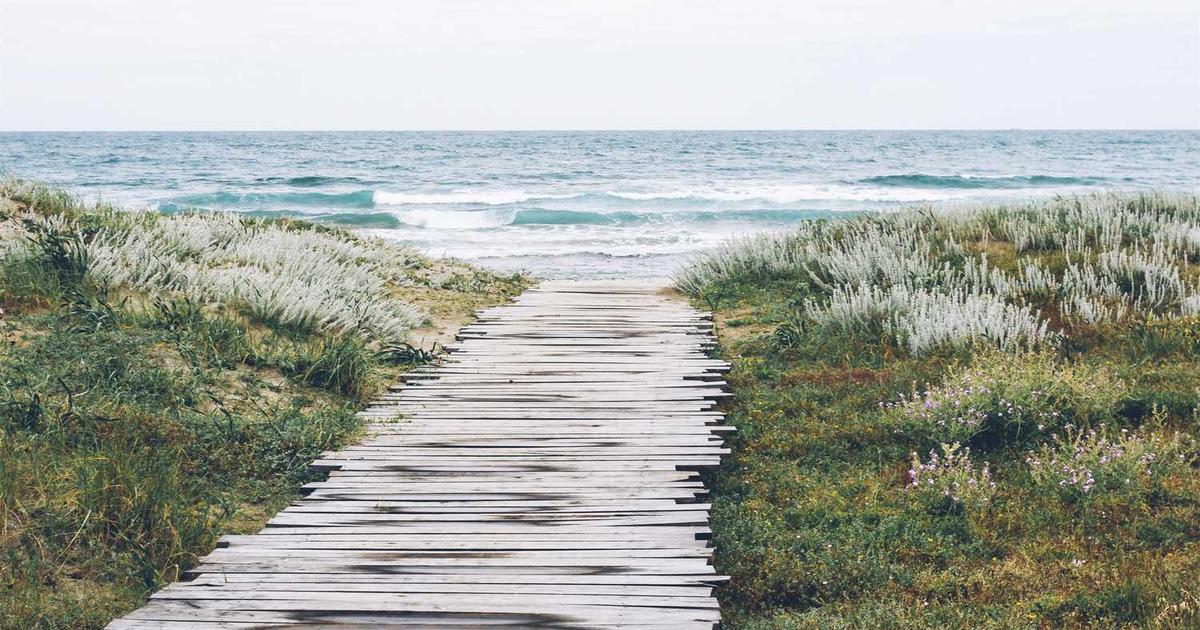 Career Transitions and Pivots: Teaching Flexibility and Faith