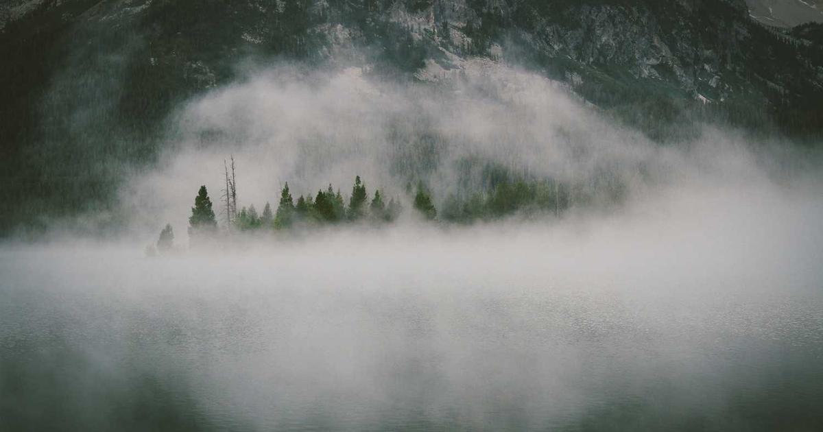 Caring for a Special Needs Adult Sibling: Planning, Guardianship, and Preventing Caregiver Burnout