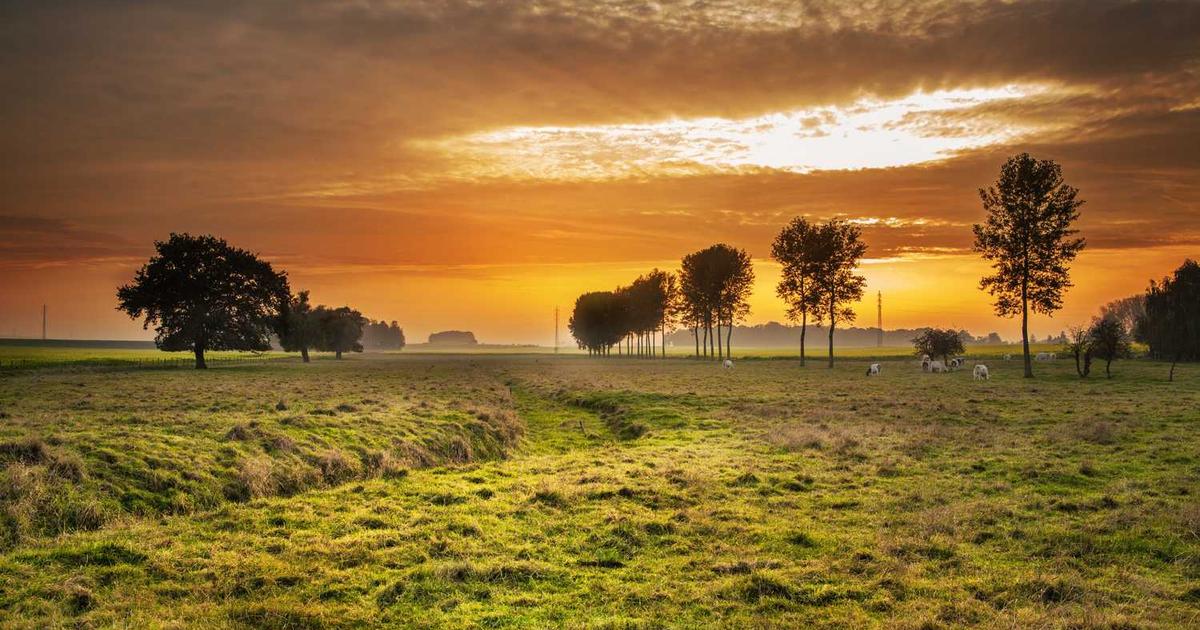 Celebrating Easter with a Resurrection Focus: Keeping Christ Central in Your Family Traditions