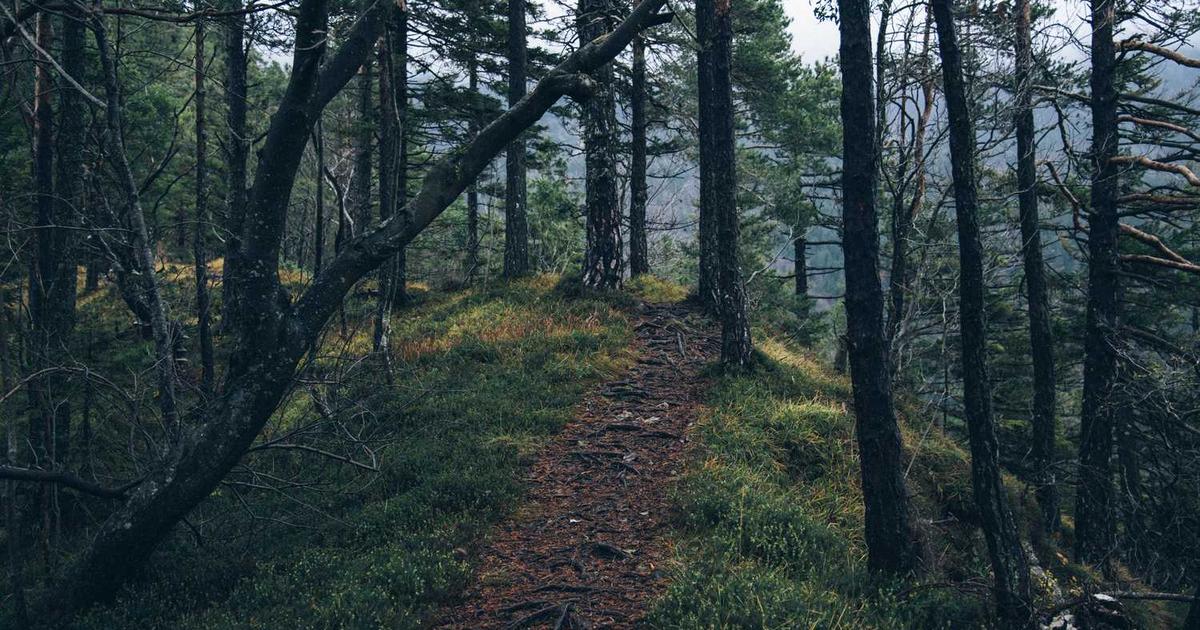 Civil Disobedience and Biblical Submission to Government