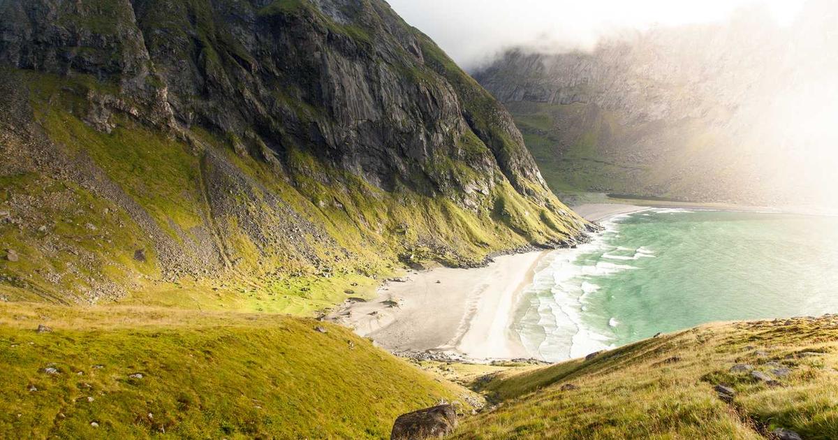 Conservation and Wildlife Protection: Christian Perspective