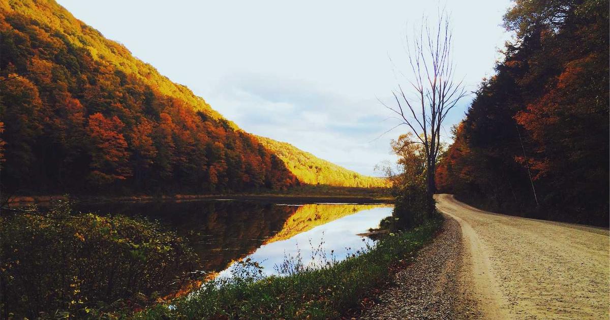 Creating Consistent Family Devotional Time: Building Faith Together Daily