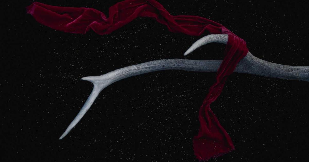 Cyberbullying Prevention and Response Strategies