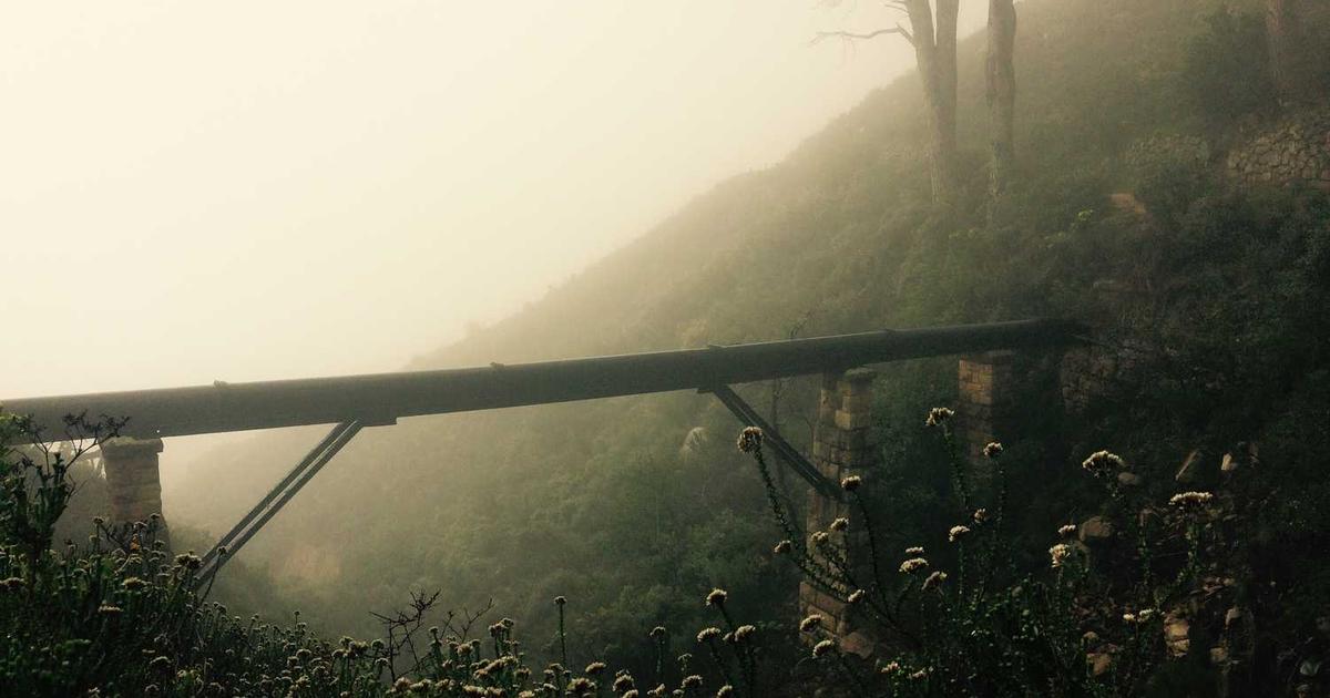 Dance and Movement in Worship: Biblical Expression