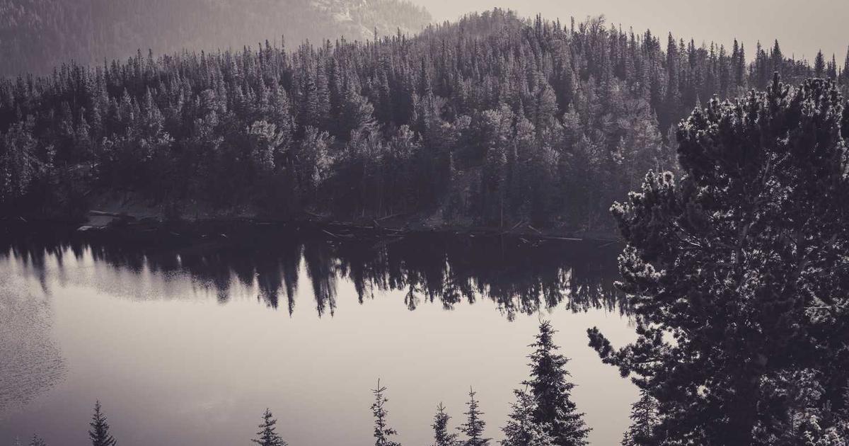 Surviving Daylight Saving Time Changes: Schedule Adjustments and Trusting God