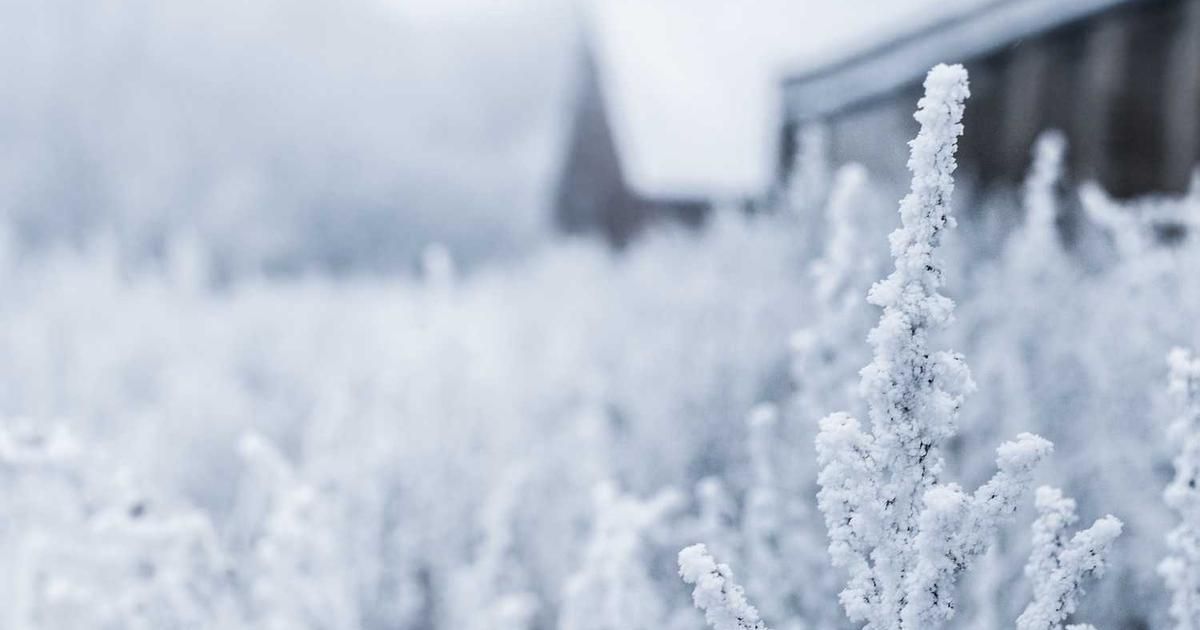 Dealing with Stealing Behaviors in Children: A Biblical Approach