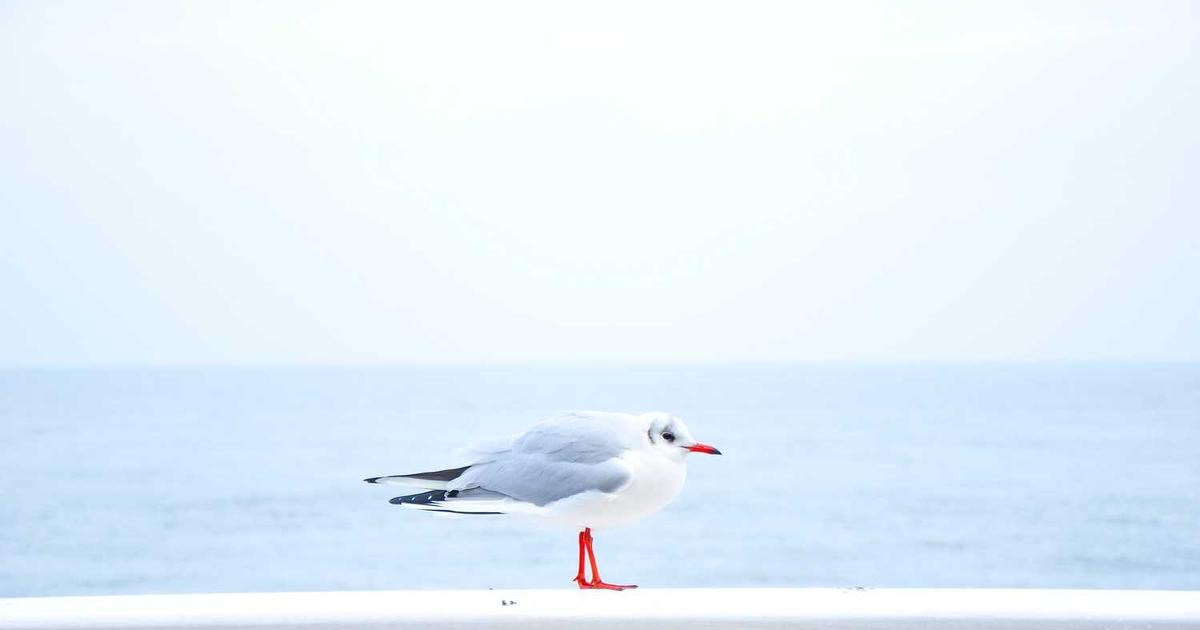 Explaining God's Existence to Children: Classic Arguments Made Simple