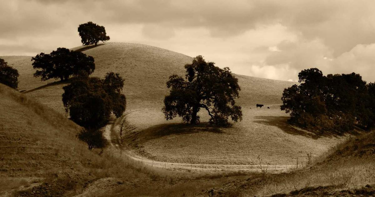 Financial Aid and College Scholarships: A Christian Family Guide to Funding Education