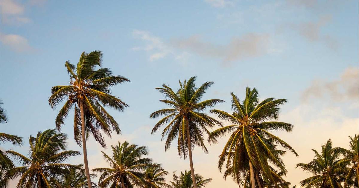 Foster-to-Adopt: Understanding Legal Risks, Concurrent Planning, and Failed Placements