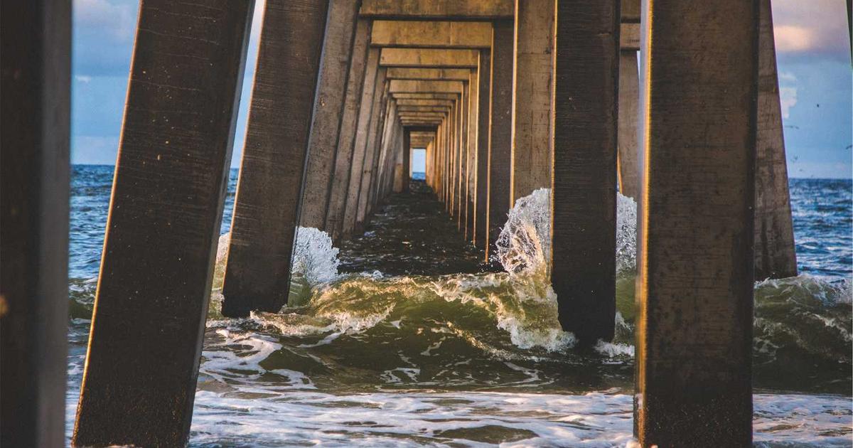 Gardening with Kids: Teaching Patience and Provision