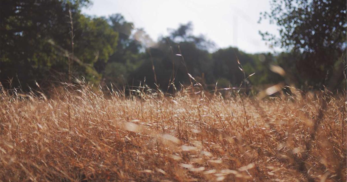 Helping Perfectionist Children: Grace Over Performance in Christ