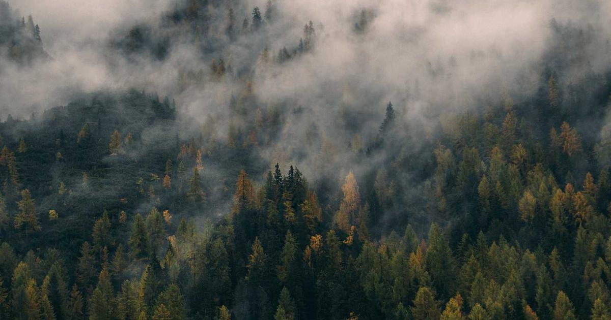 Instrumental Music Training for Worship Ministry