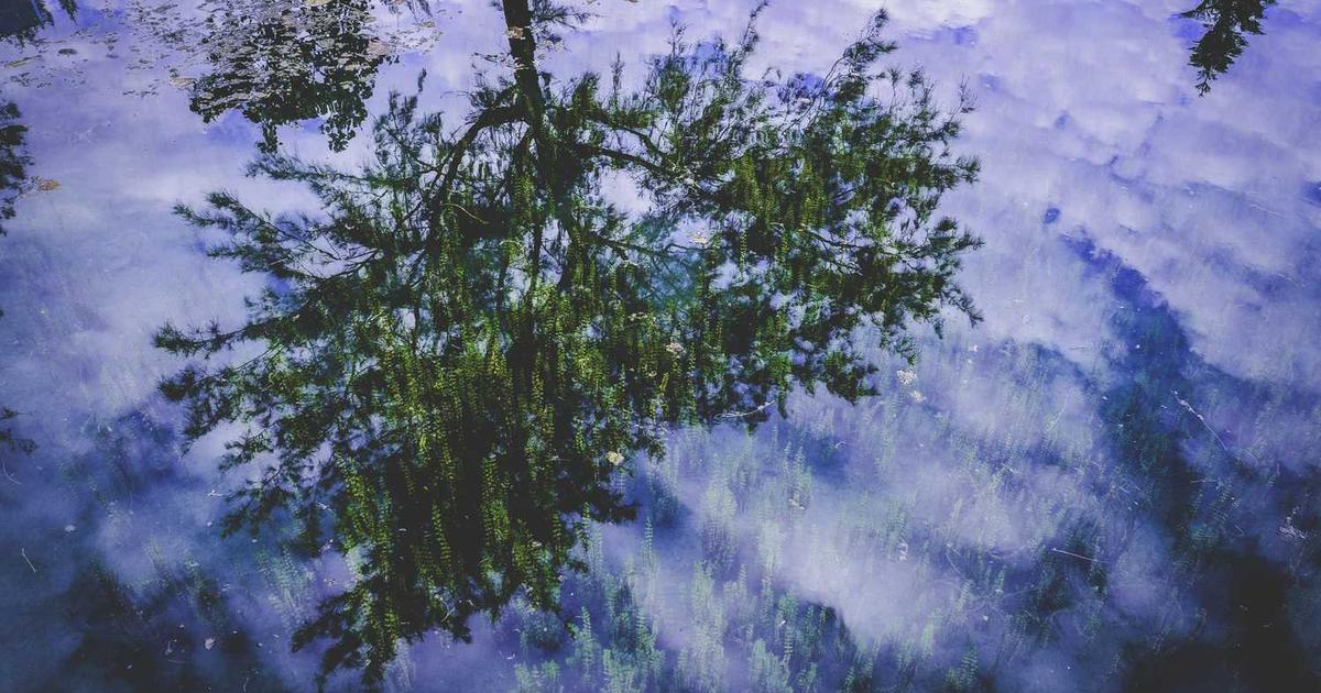 Launching Adult Children: Releasing with Faith, Blessing, and Ongoing Support