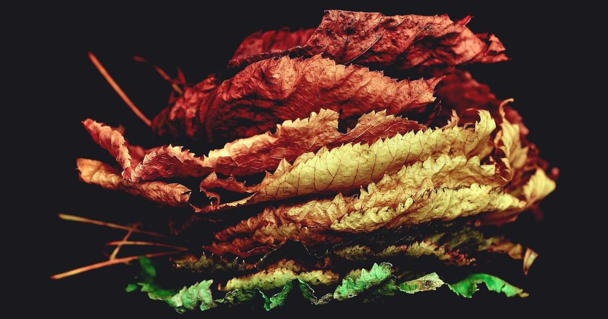 Leadership Gifts: Developing Young Christian Leaders