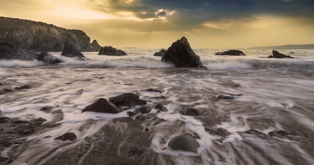 Learning Styles and Multiple Intelligences: Teaching Every Child Effectively