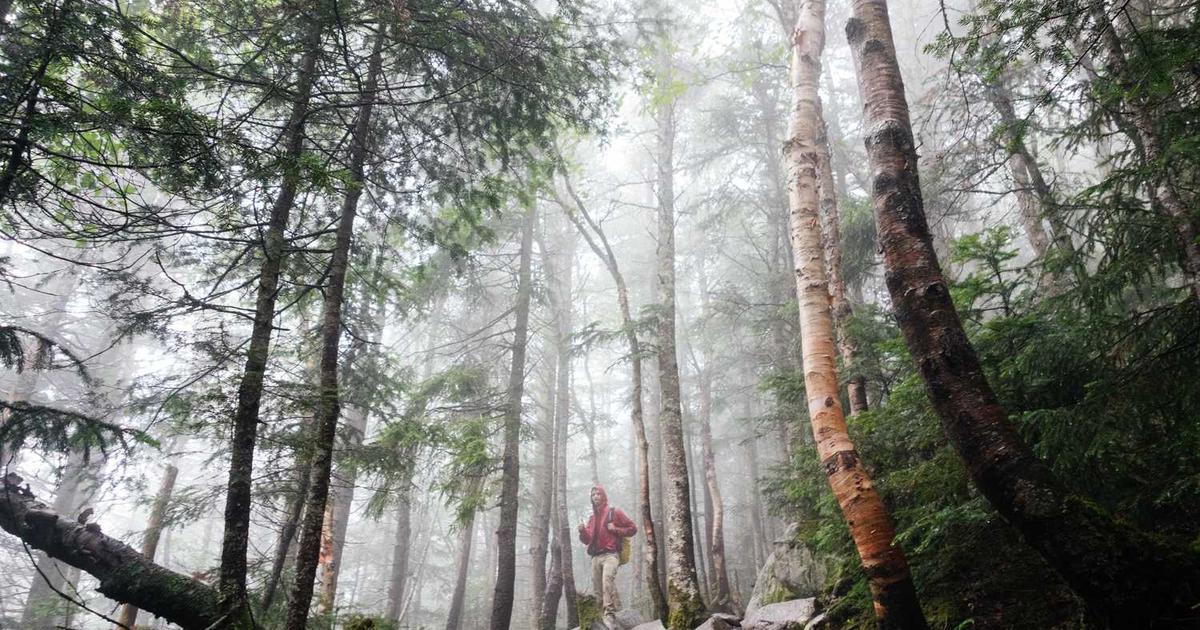 Mercy and Compassion Gifts: Nurturing in Children