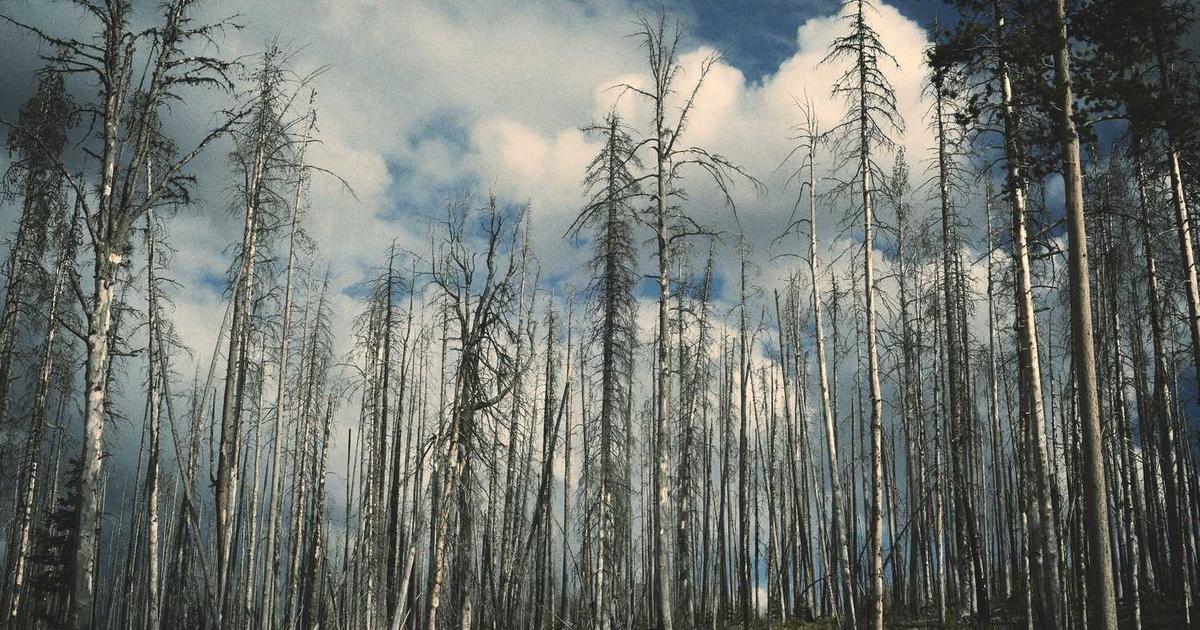 Missions Biographies: Heroes of Faith for Kids