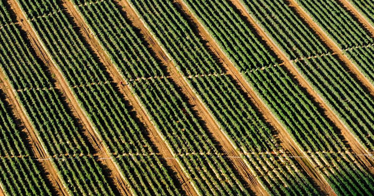 Moving with Children: Faith and Practical Wisdom for Family Transitions