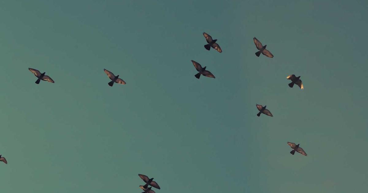 Preparing Teens for Relationships: A Christian Parent's Guide