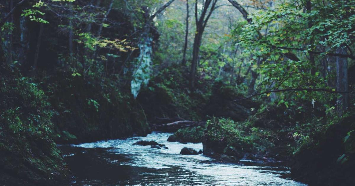 Raising Boys as Christian Men: Biblical Guidance for Godly Masculinity