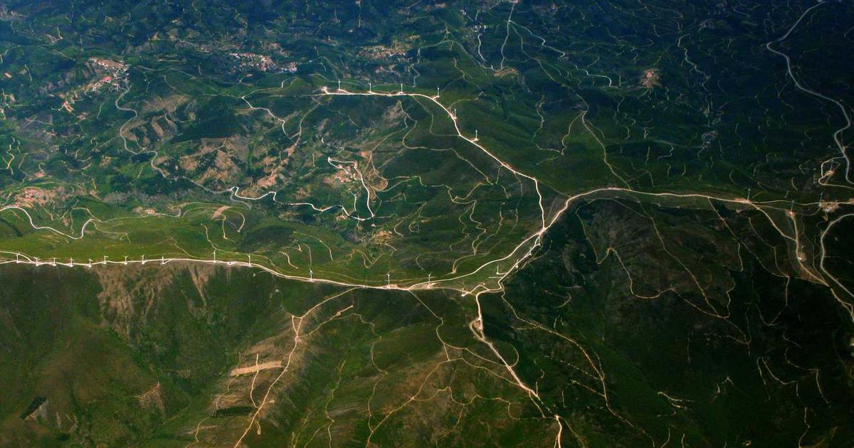 Single Parenting: Dating and Remarriage Considerations