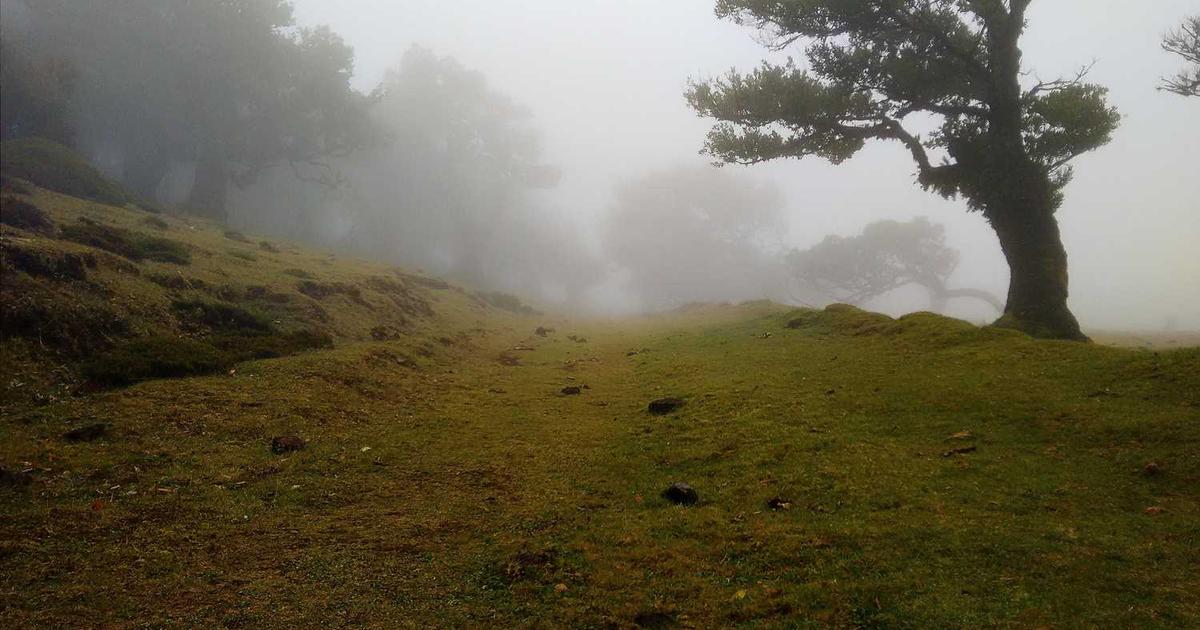 Smartphones: When Should Kids Get Their First Phone?