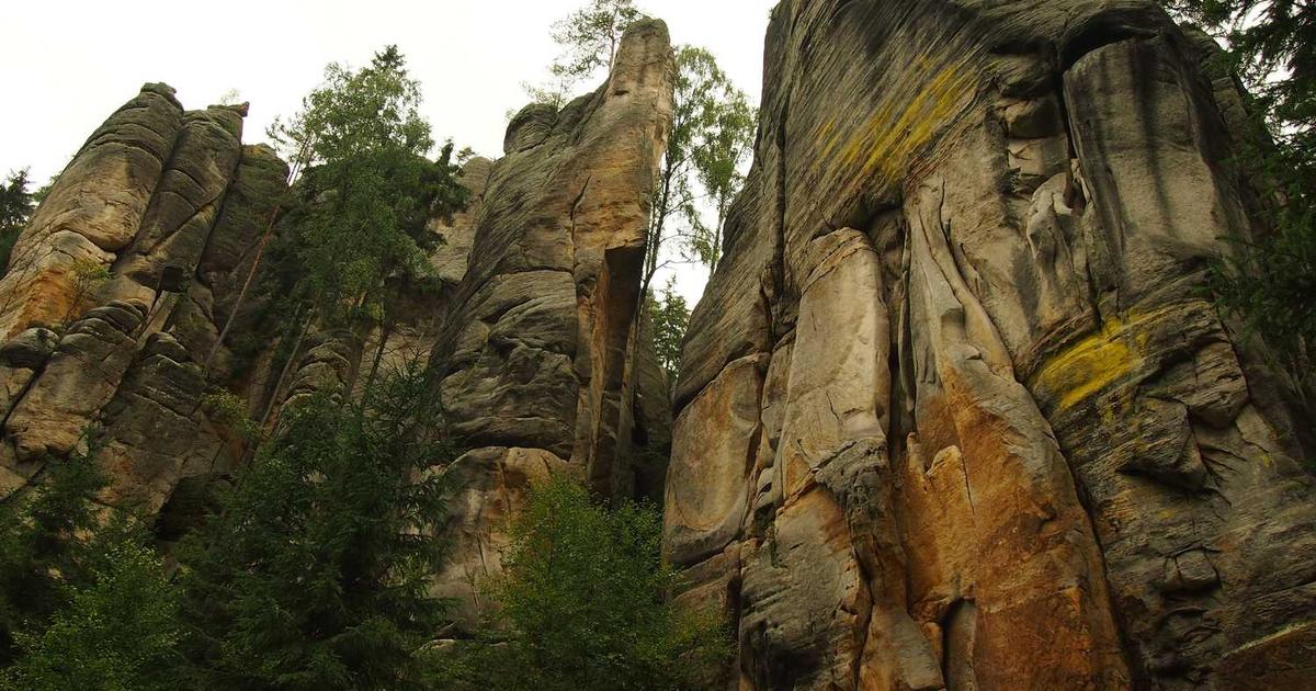 Social Media Age Guidelines for Christian Families: When and How to Let Kids Join