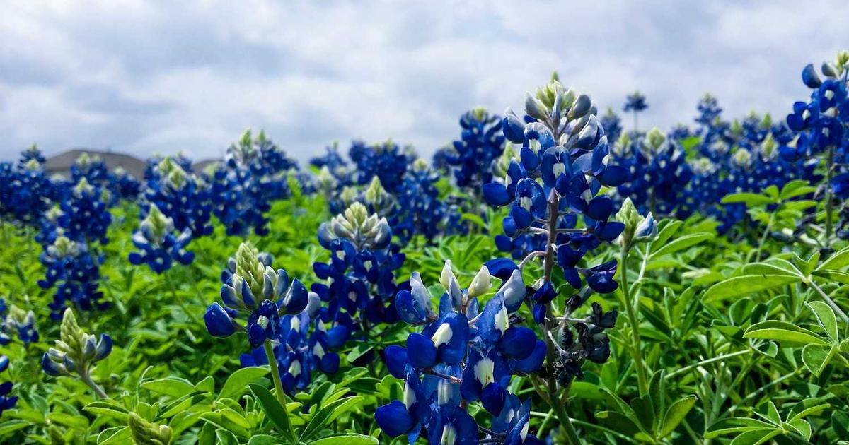 Teaching Teens Conflict Resolution Skills for Future Marriage