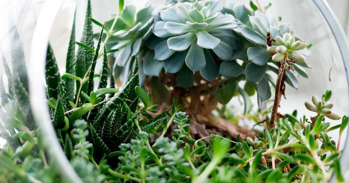 Teaching Humility and Servant Leadership: Raising Children Who Lead Like Jesus