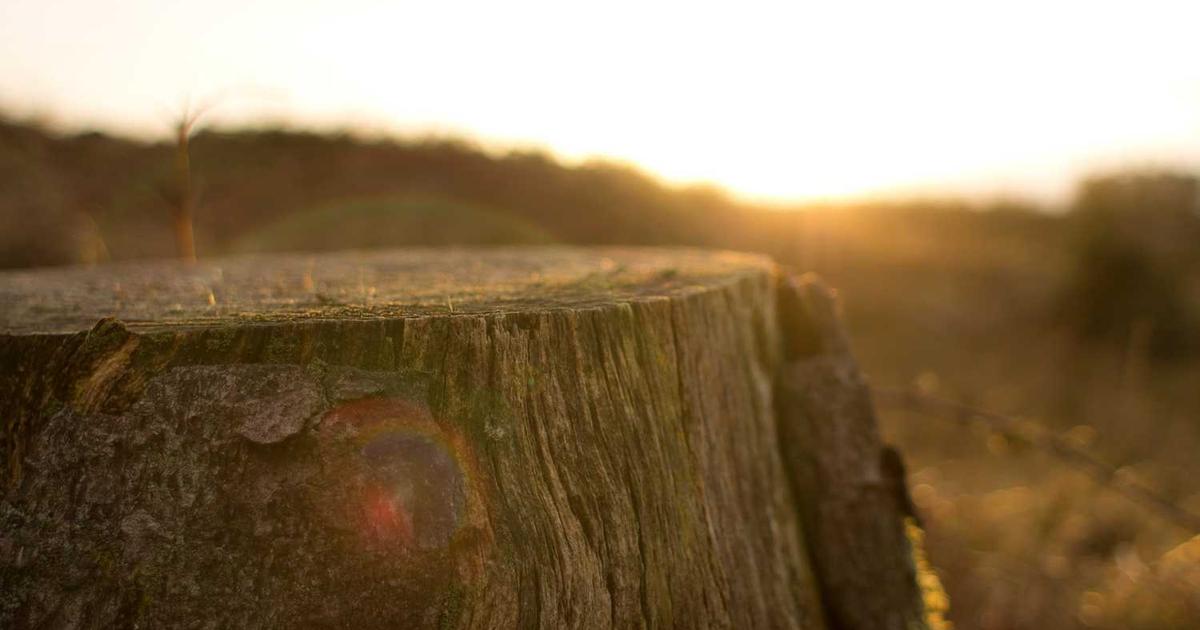 Teaching Kids About Abraham: The Father of Faith and God's Promises