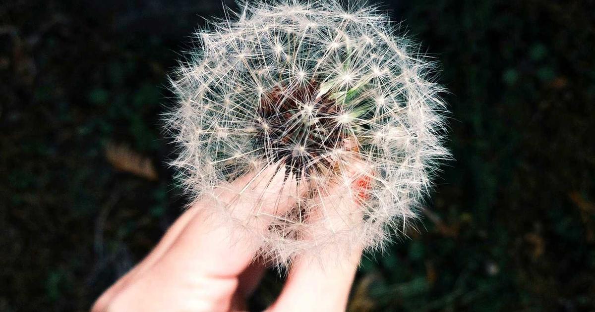 Teaching Kids About Daniel: Standing Firm in Faith in a Hostile Culture