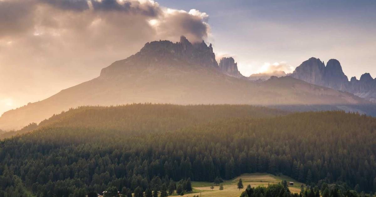 Teaching Kids About Bible Reliability: How to Build Confidence in God's Word