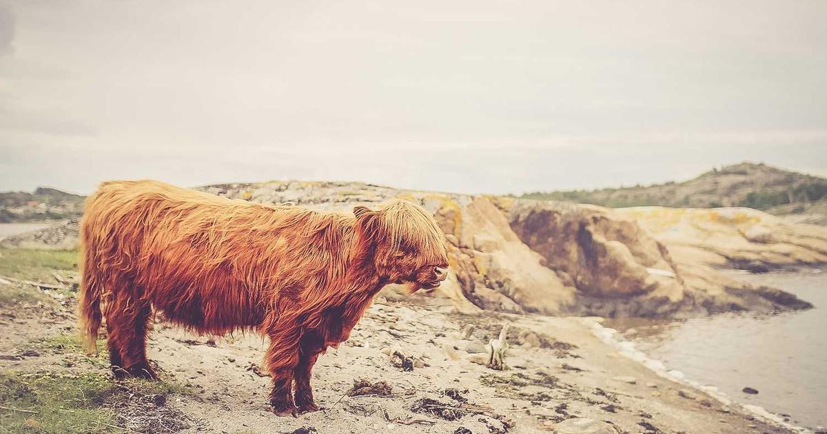 Explaining Economic Systems to Kids: A Biblical Perspective on Capitalism, Socialism, and Free Markets