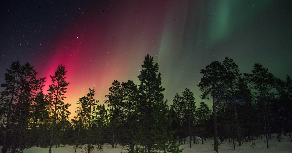 Teaching Kids First Aid and Emergency Response: Biblical Preparedness and Lifesaving Skills