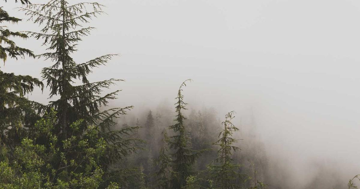 Teaching Kids to Invite Others to Church: Evangelism Through Friendship and Overcoming Fear