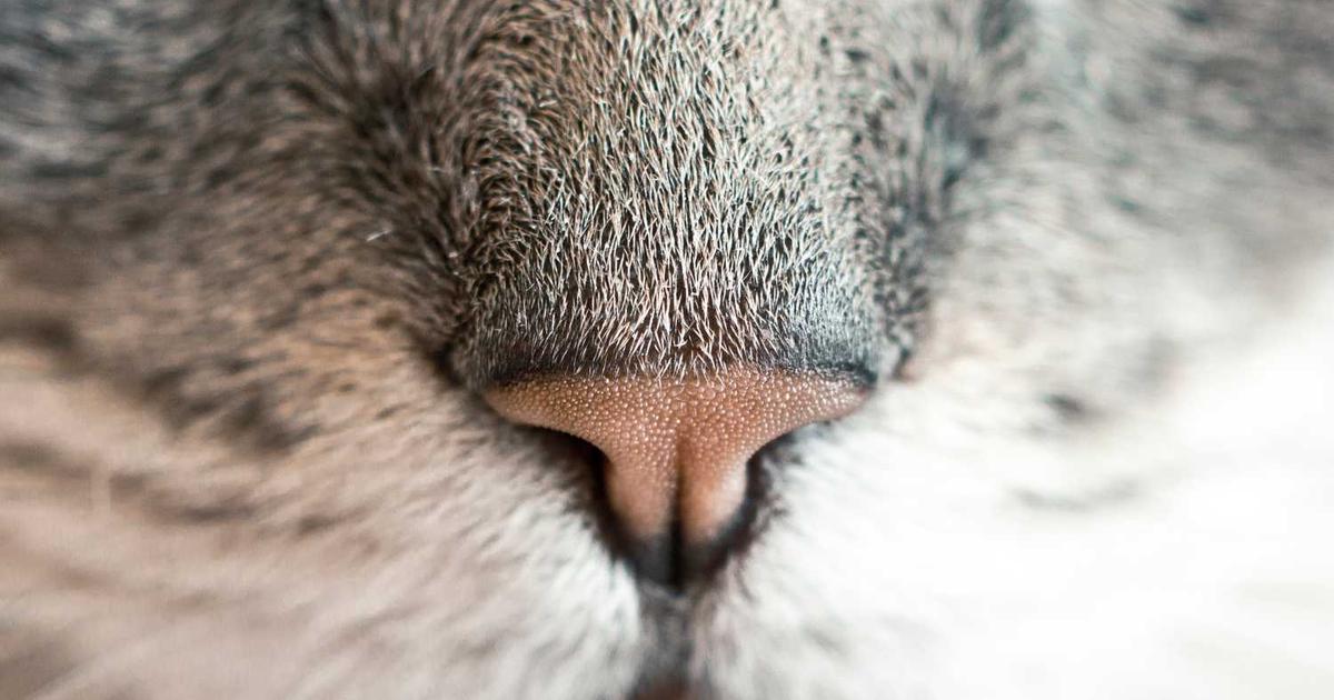 Trauma-Informed Parenting: A Biblical Guide for Adoptive and Foster Families