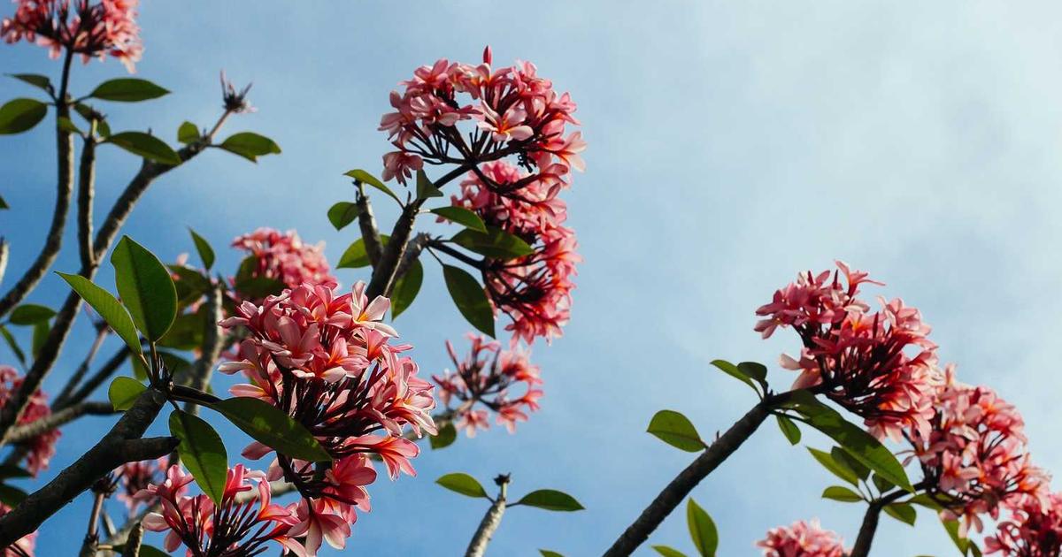 Twice-Exceptional Children: Navigating Giftedness and Learning Disabilities Together