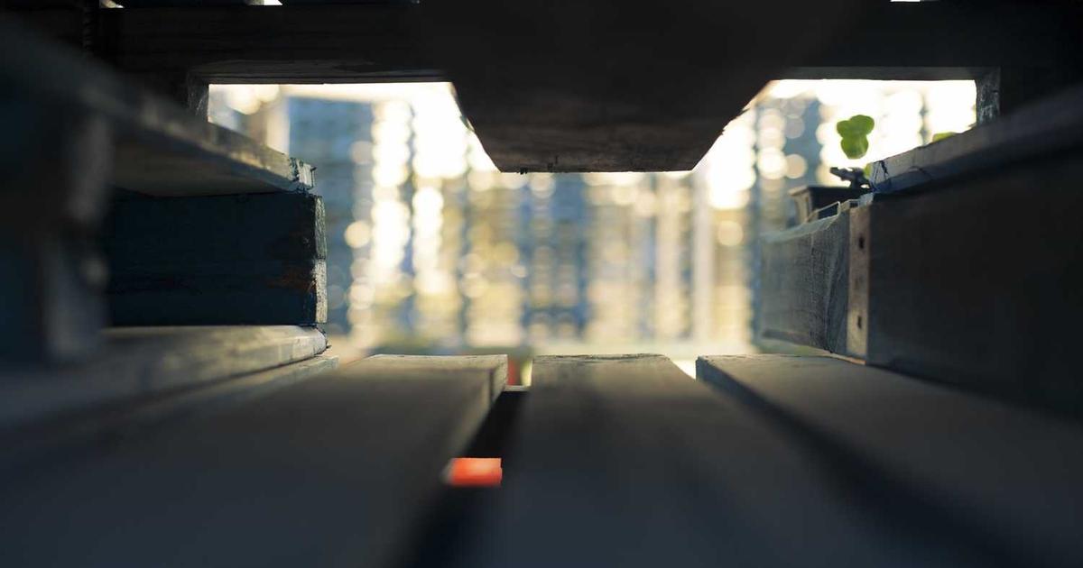 Understanding Political Parties Through a Biblical Lens