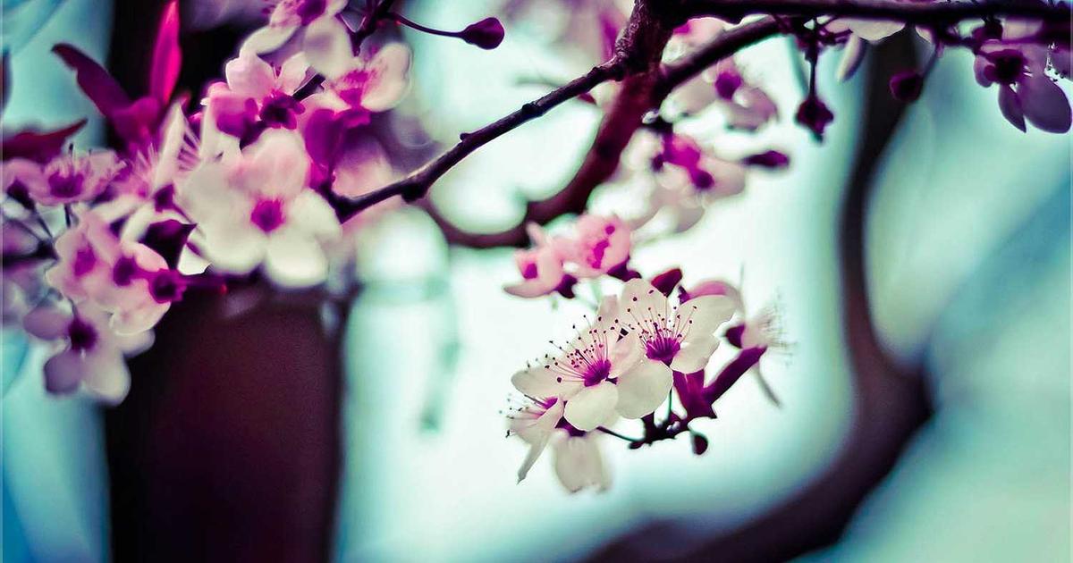 Presenting a United Parenting Front: Biblical Partnership in Raising Children