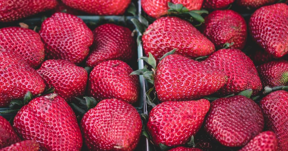 Video Games and Christian Parenting: A Complete Guide to Navigating Gaming Culture