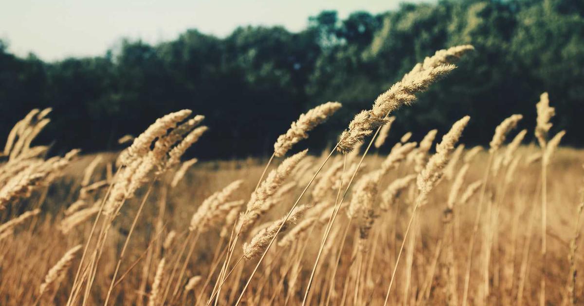 Visual Processing Disorder: Supporting Children Who Struggle to Make Sense of What They See