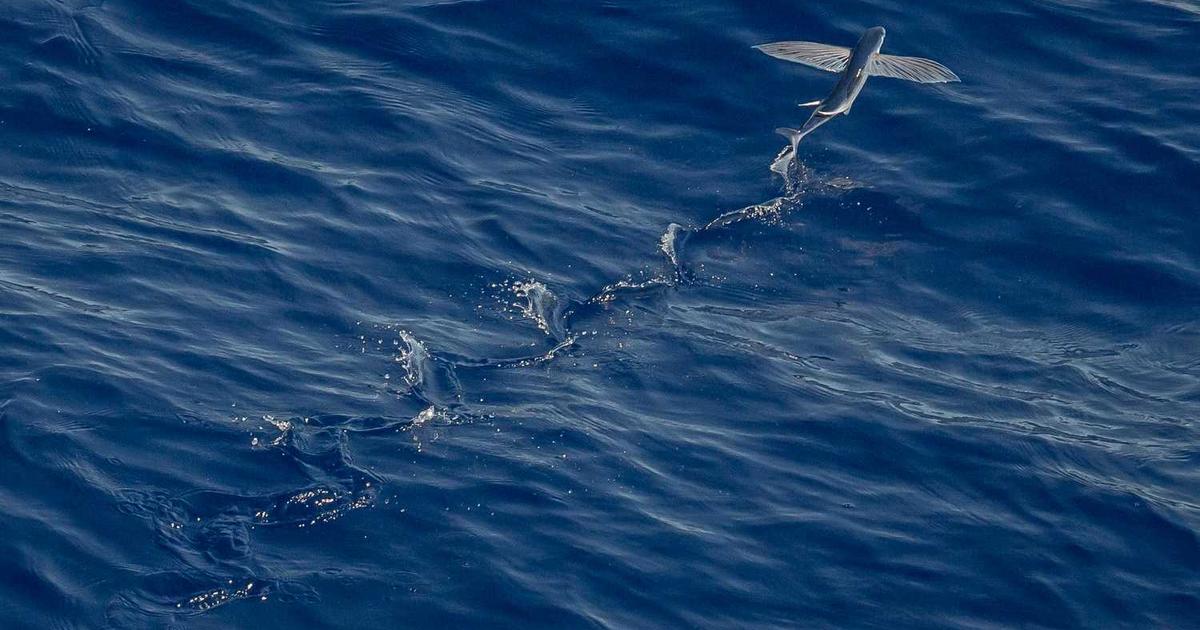 YouTube Safety for Kids: A Christian Parent